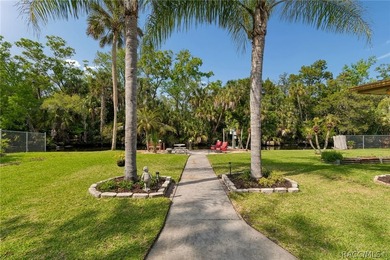 Waterfront canal home in beautiful Homosassa, FL a boater's and - photo 32