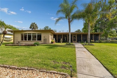 Waterfront canal home in beautiful Homosassa, FL a boater's and - photo 34