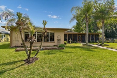 Waterfront canal home in beautiful Homosassa, FL a boater's and - photo 35