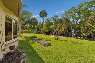 Waterfront canal home in beautiful Homosassa, FL a boater's and - photo 36