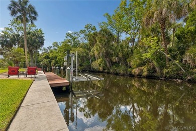 Waterfront canal home in beautiful Homosassa, FL a boater's and - photo 37