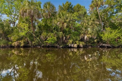 Waterfront canal home in beautiful Homosassa, FL a boater's and - photo 38