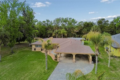 Waterfront canal home in beautiful Homosassa, FL a boater's and - photo 41