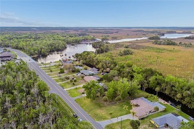 Waterfront canal home in beautiful Homosassa, FL a boater's and - photo 42