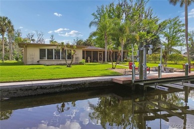 Waterfront canal home in beautiful Homosassa, FL a boater's and - photo 44