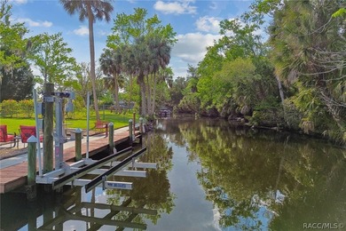 Waterfront canal home in beautiful Homosassa, FL a boater's and - photo 45