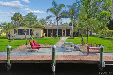 Waterfront canal home in beautiful Homosassa, FL a boater's and - photo 46