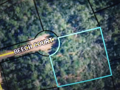 Compass Lake Lot For Sale in Alford Florida