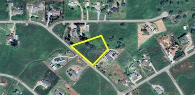 Pine Flat Reservoir Lot For Sale in Sanger California