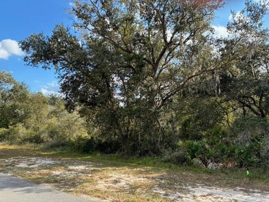 Excellent Location within Indian Lake Estates, close to club - photo 2