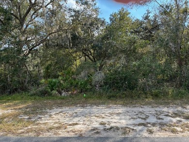 Excellent Location within Indian Lake Estates, close to club - photo 3