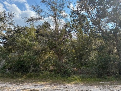 Excellent Location within Indian Lake Estates, close to club - photo 4