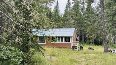 Lake Home For Sale in Scopan Twp, Maine