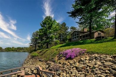 Stunning lake views immediately capture your attention upon - photo 12