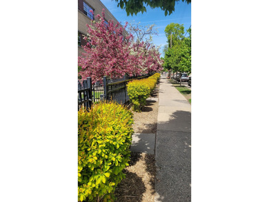 Welcome to charming 111 E Franklin Ave #109 only available due - photo 19