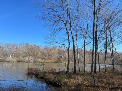 Lake Lot For Sale in Cedar Grove, Tennessee