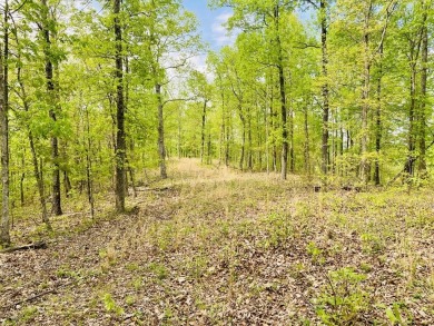 Lake Lot For Sale in Stewart, Tennessee