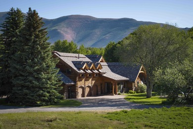 (private lake, pond, creek) Home For Sale in Blaine County Idaho