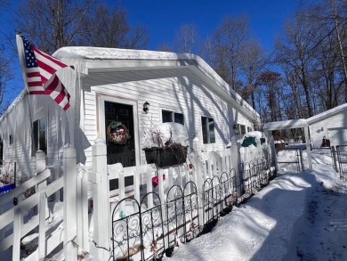 Lake Home For Sale in Prudenville, Michigan