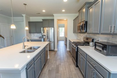 This community is a, family-friendly, residential neighborhood - photo 11