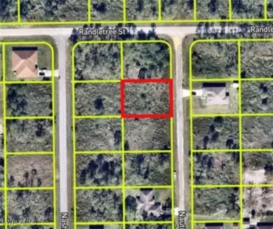 Lehigh Acres Area Lot For Sale in Lehigh Acres Florida