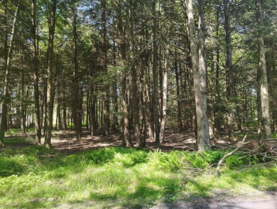 Lake Sinca Lot For Sale in Pocono Lake Pennsylvania