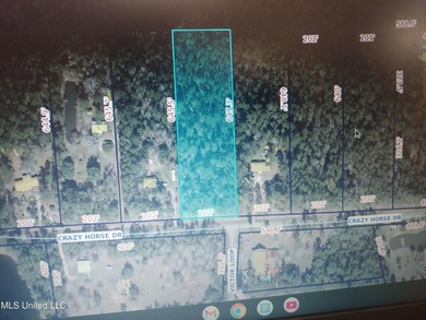 Three beautiful, Cleared acres in the desired Jorden River - photo 2