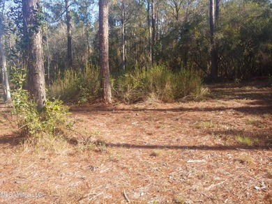 Three beautiful, Cleared acres in the desired Jorden River - photo 3