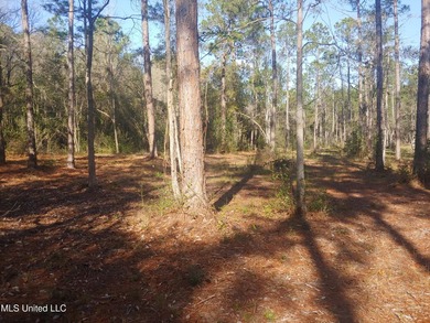 Three beautiful, Cleared acres in the desired Jorden River - photo 4