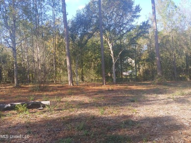 Three beautiful, Cleared acres in the desired Jorden River - photo 5