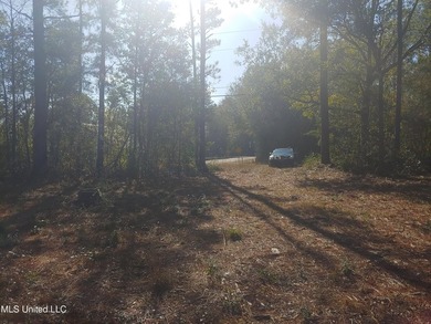 Three beautiful, Cleared acres in the desired Jorden River - photo 6