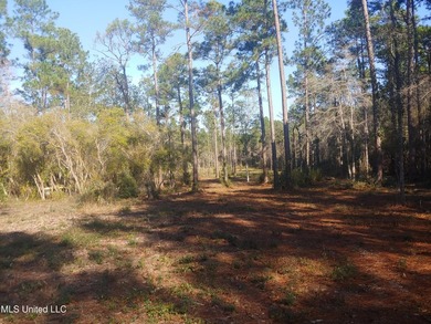 Three beautiful, Cleared acres in the desired Jorden River - photo 7