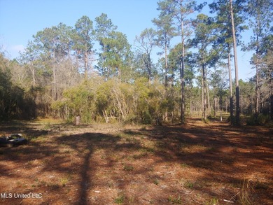 Three beautiful, Cleared acres in the desired Jorden River - photo 9