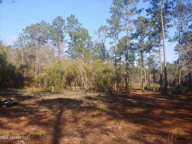 Three beautiful, Cleared acres in the desired Jorden River - photo 10