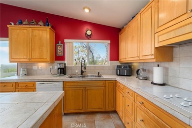 40230 Crazy Horse Canyon Rd - photo 20