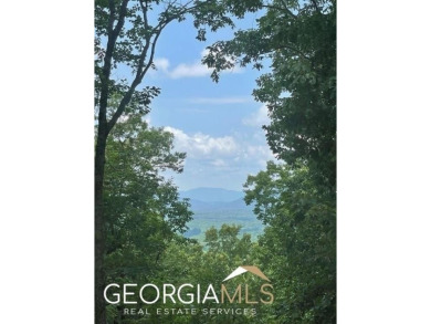Lake Lot For Sale in Cleveland, Georgia