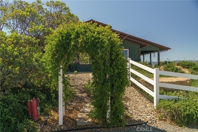 40230 Crazy Horse Canyon Rd - photo 40