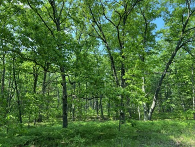 (private lake, pond, creek) Acreage For Sale in Reed City Michigan