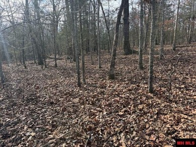 Private 7-acre m/l tract located on a quiet county road that - photo 2