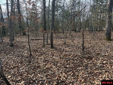 Private 7-acre m/l tract located on a quiet county road that - photo 4
