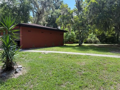 Brick 3 bedroom/2 bathroom home in SW Gainesville on a .75 acre - photo 5