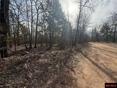 Private 7-acre m/l tract located on a quiet county road that - photo 8