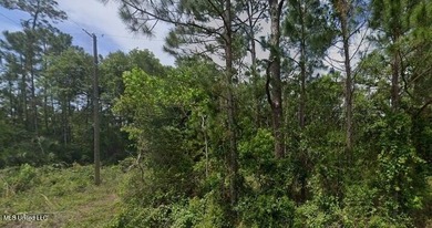Beautiful deep lot located near the beach in the desirable Pass - photo 1