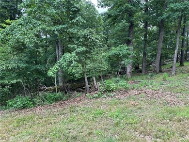 If you're looking for Beaver Lake area acreage with excellent - photo 11