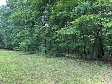 If you're looking for Beaver Lake area acreage with excellent - photo 12