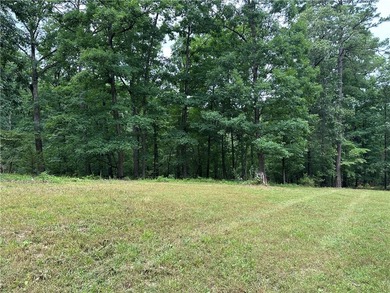 If you're looking for Beaver Lake area acreage with excellent - photo 14