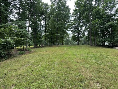 If you're looking for Beaver Lake area acreage with excellent - photo 15