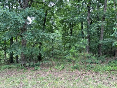 If you're looking for Beaver Lake area acreage with excellent - photo 16