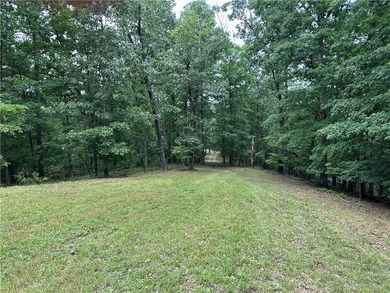 If you're looking for Beaver Lake area acreage with excellent - photo 17