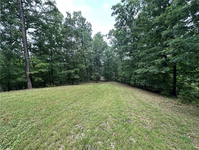 If you're looking for Beaver Lake area acreage with excellent - photo 18